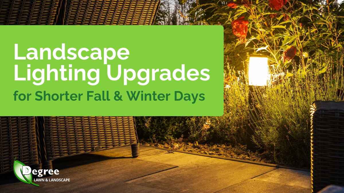 Landscape Lighting Upgrades for Shorter Fall and Winter Days